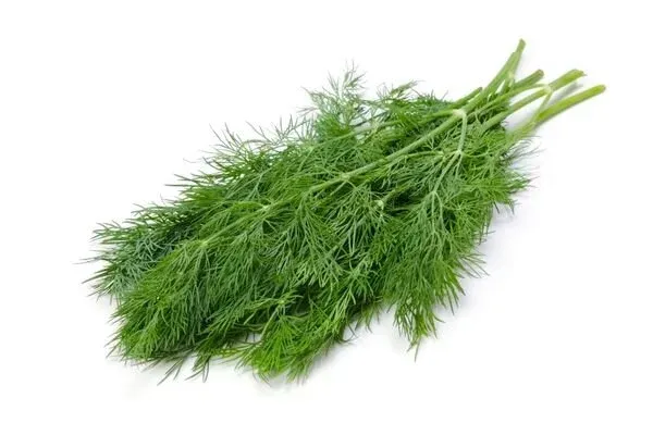 Dere Otu (Yayla) stok görseli