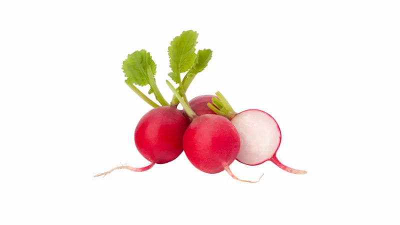 Fındık Turp stok görseli