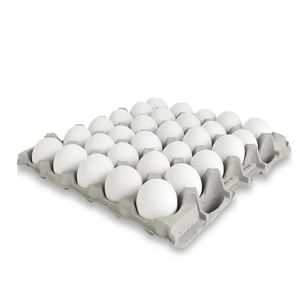 Yumurta Normal (XL) 15 Lu stok görseli