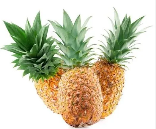 Ananas (Tatlı Seçilmiş) stok görseli