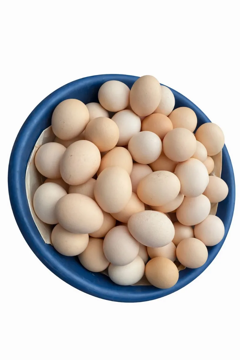 Köy Yumurtası 30 Lu stok görseli