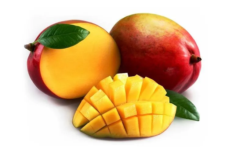 Yerli Mango stok görseli