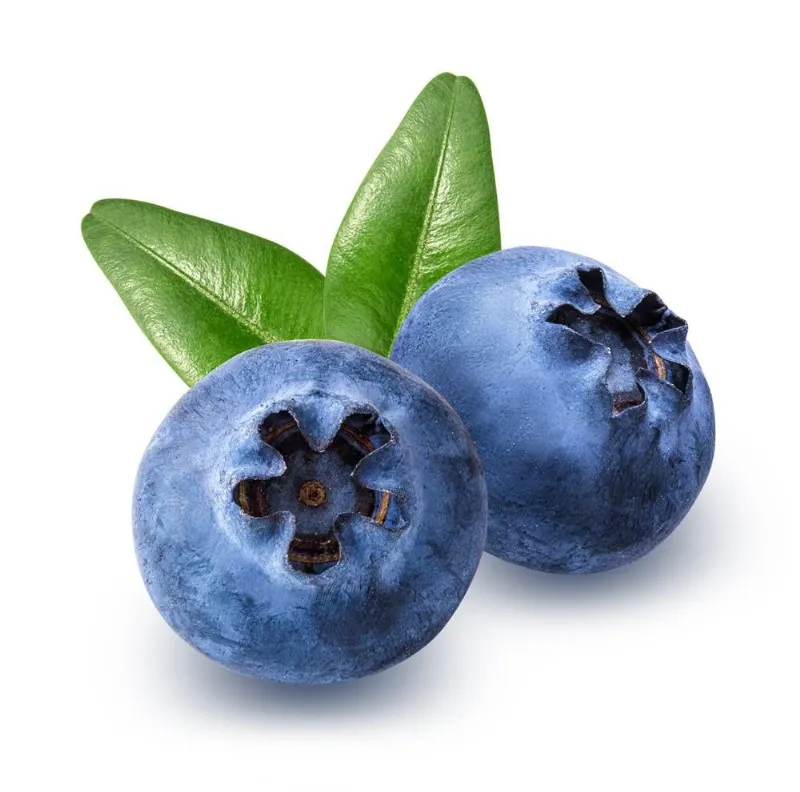 Yaban Mersini stok görseli