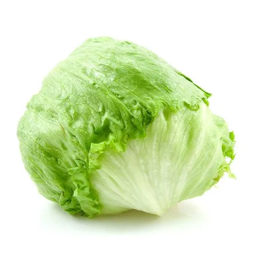 Marul (Iceberg) stok görseli