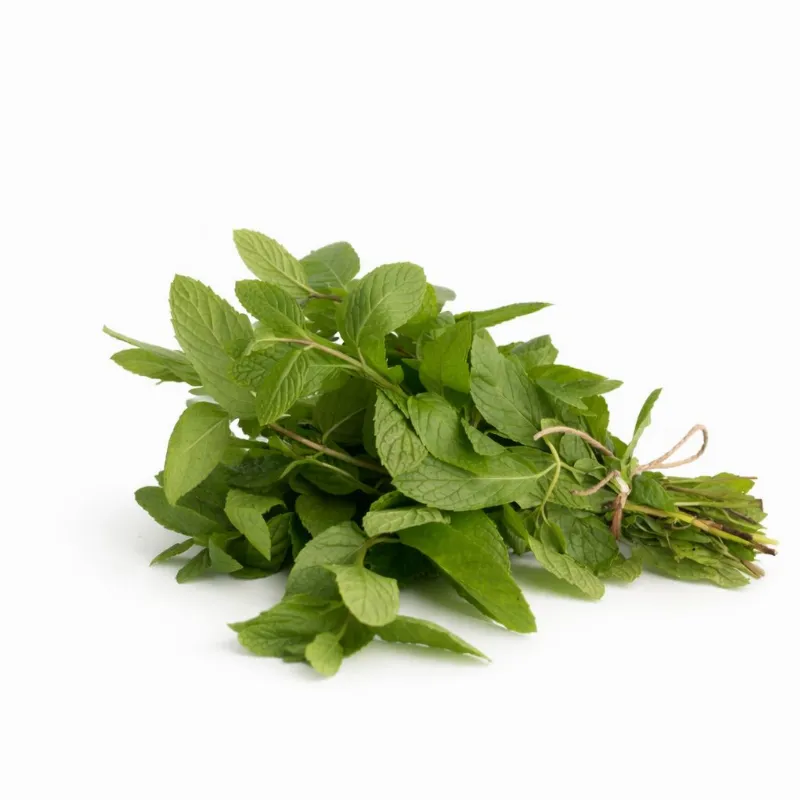 Nane (Yayla) stok görseli