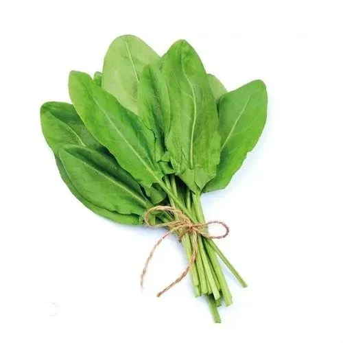 Kuzu Kulağı (Yayla) stok görseli
