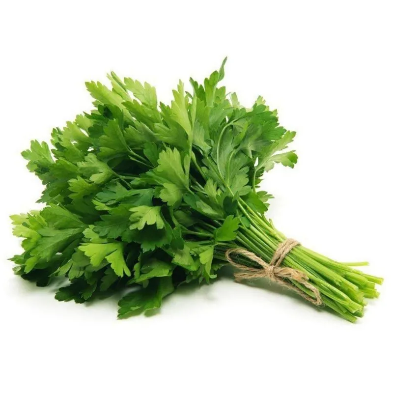 Maydonoz (Yayla) stok görseli
