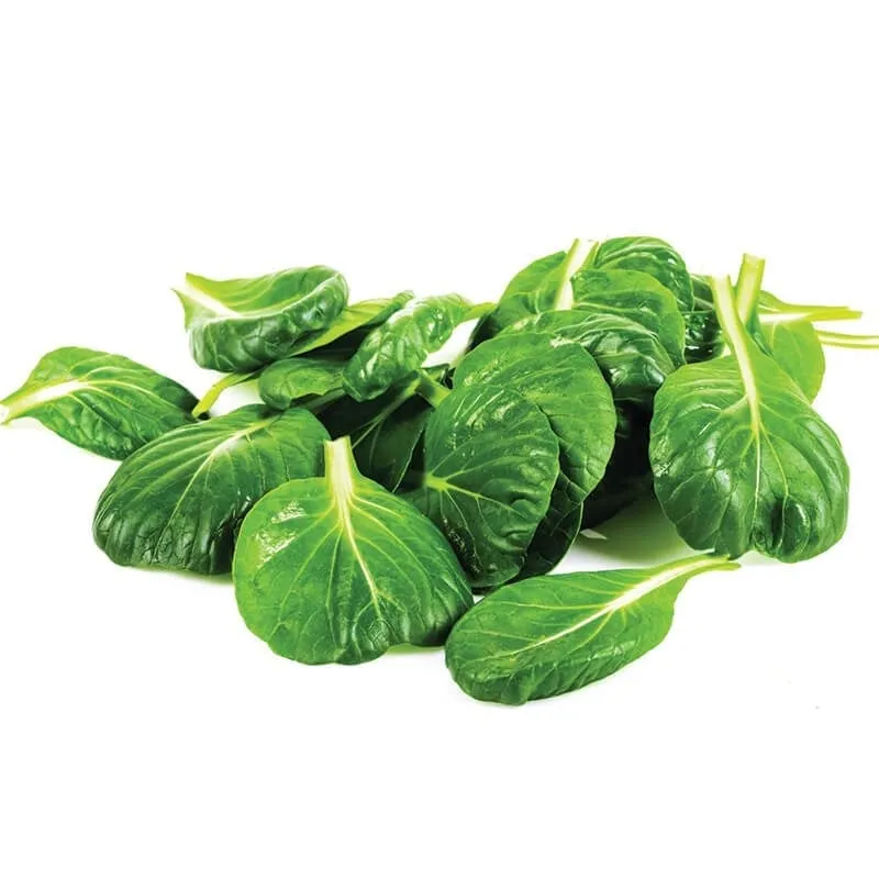 Tatsoi (150gr) stok görseli
