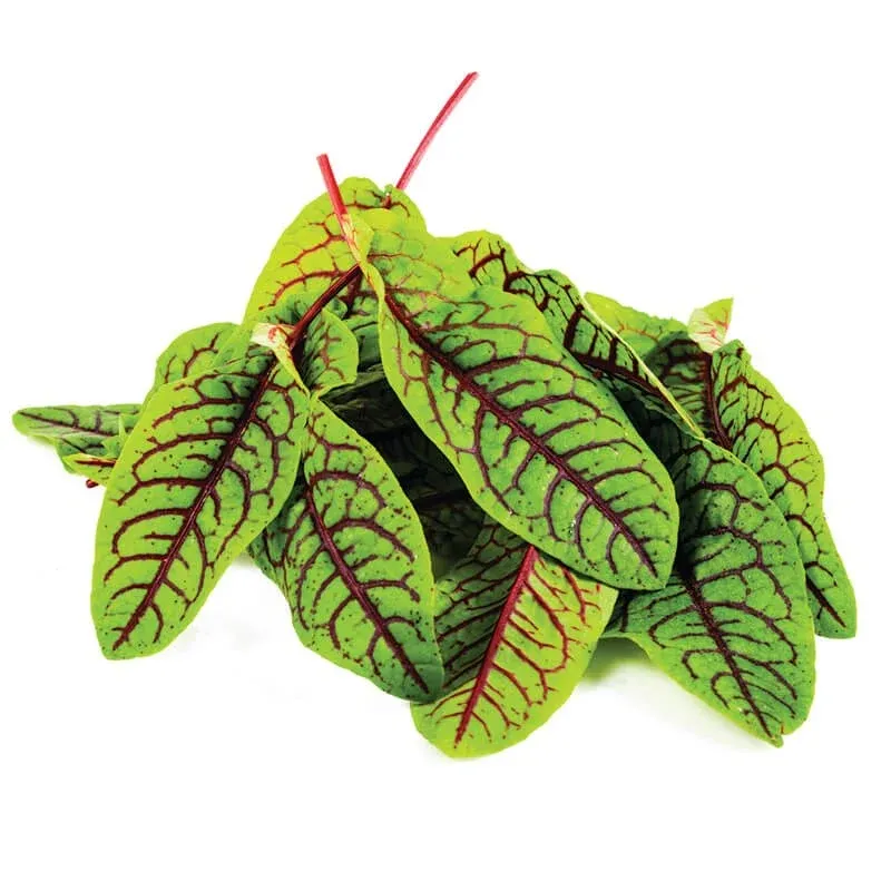 Kırmızı Kuzu Kulağı (150gr) stok görseli