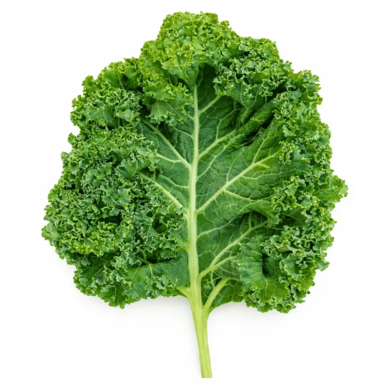 Kale Yaprağı (250gr) stok görseli