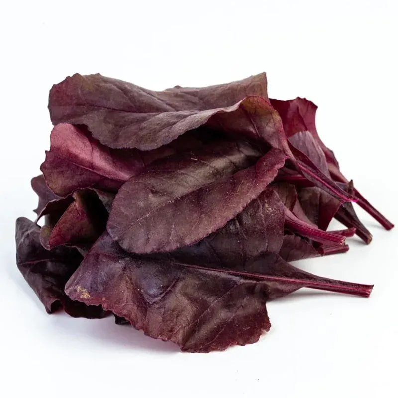 Pancar Yaprağı (500gr) stok görseli