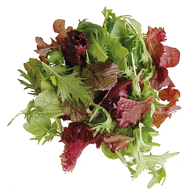 Maskolin (Mesclun) Salatası (500gr) stok görseli