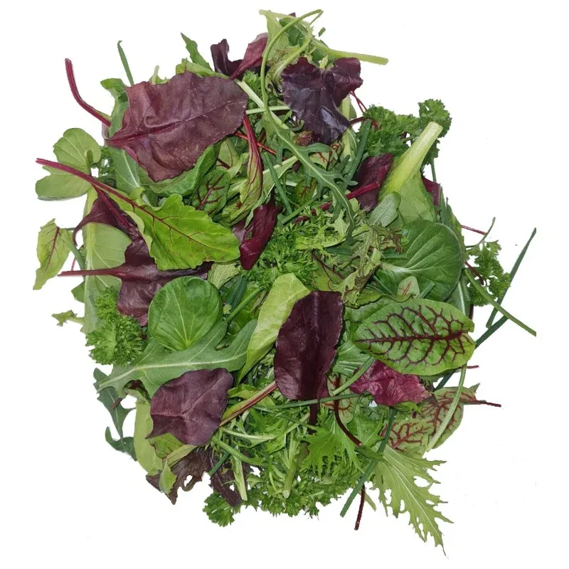 Balık Salatası stok görseli