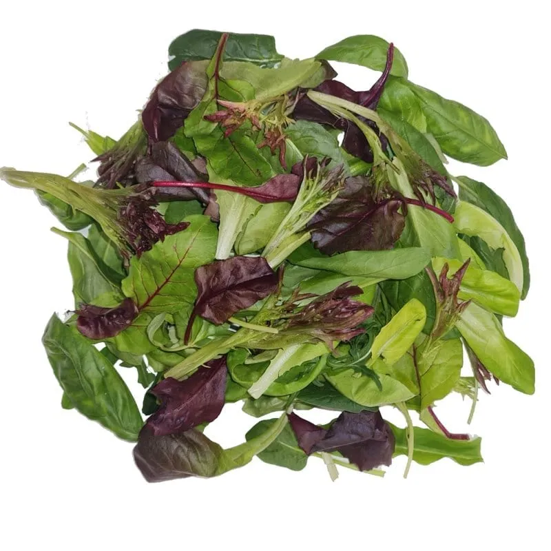 Ege Salatası stok görseli