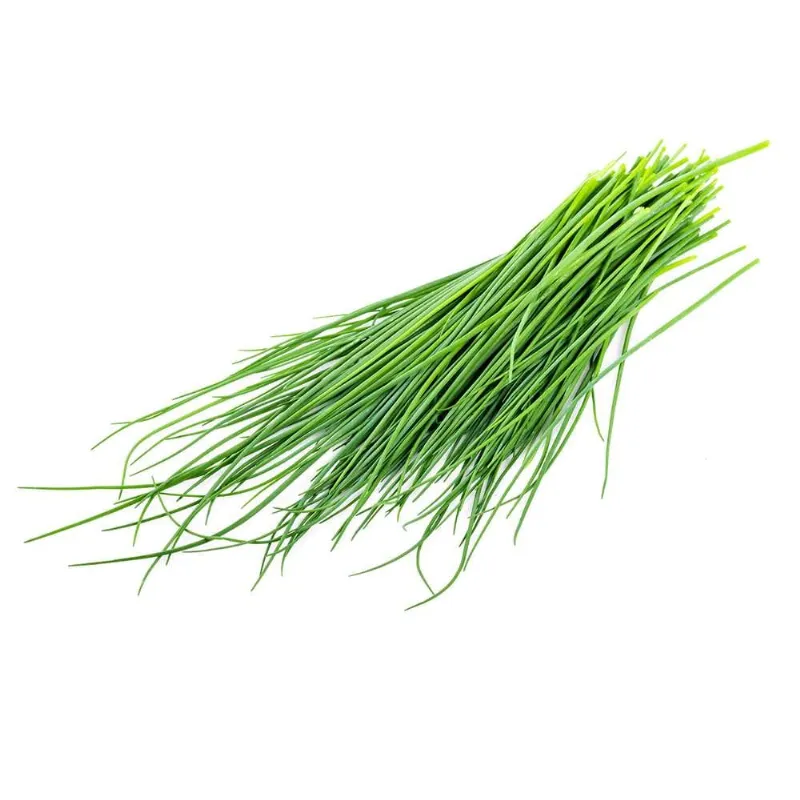 Şiniklav (Frenk Soğanı) stok görseli