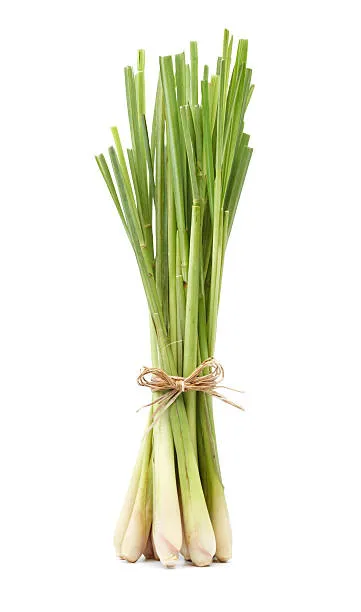 Lemon Grass stok görseli