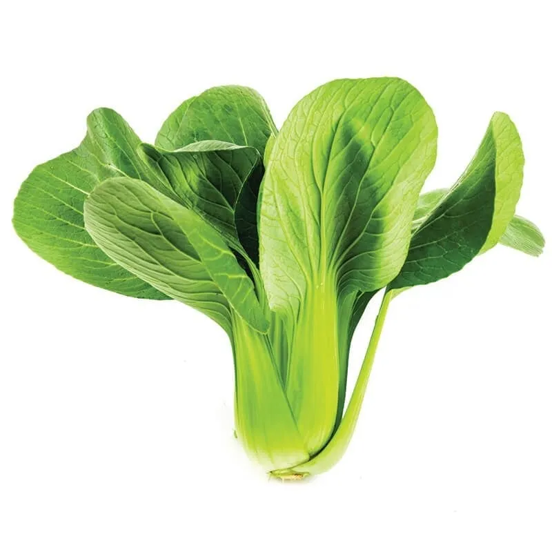 Pakçoy stok görseli