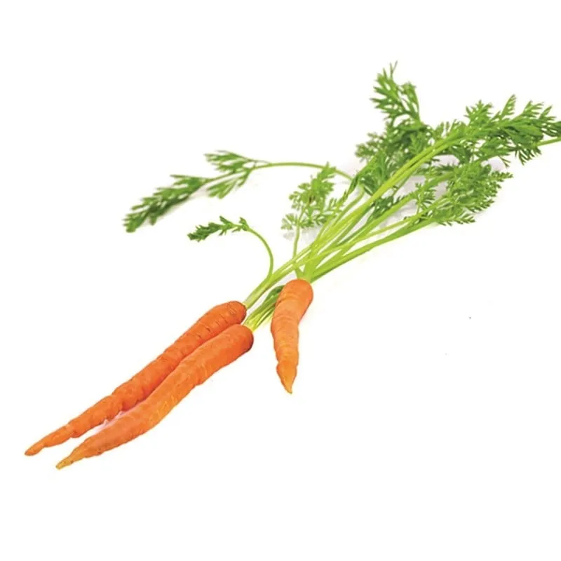 Mini Havuç stok görseli