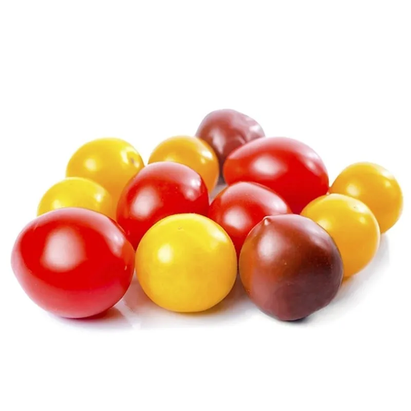 Gökkuşağı Çeri stok görseli