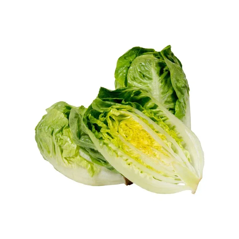 Mini Yedikule Yeşil stok görseli
