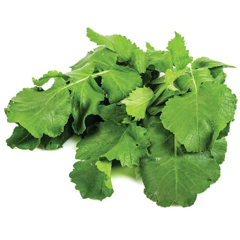 Turp Otu stok görseli