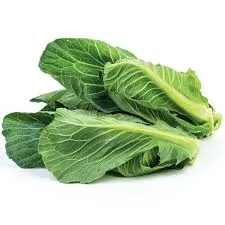 Cibes Otu (500gr) stok görseli