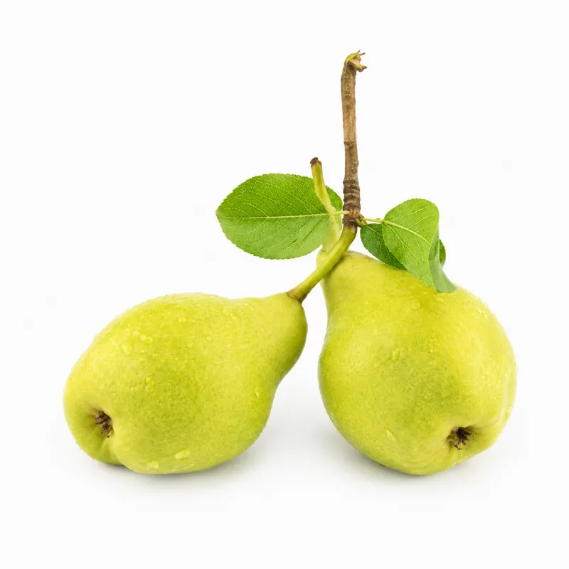 Akça Armut (Yaz Armutu) stok görseli