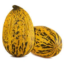 Kırkağaç Kavun stok görseli